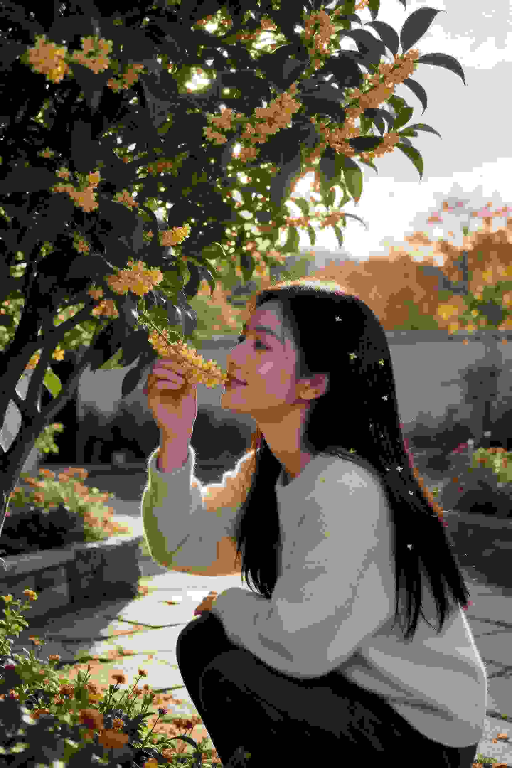 摄影师的日常